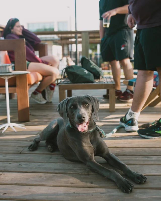 Sandy Pickle - Photo 1